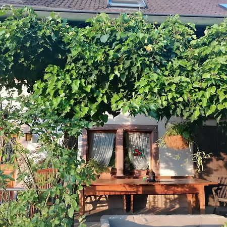 Apartamento Cherry Blossom